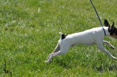 Enlarge photo 33