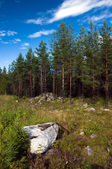 Enlarge photo 34