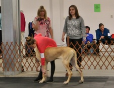 Enlarge photo 45