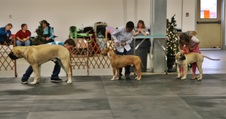 Enlarge photo 46