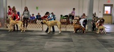 Enlarge photo 48