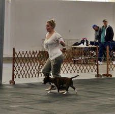 Enlarge photo 16