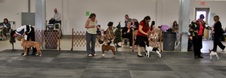 Enlarge photo 28