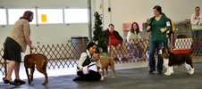 Enlarge photo 31