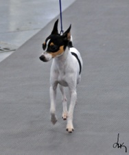 Enlarge photo 7