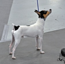 Enlarge photo 6