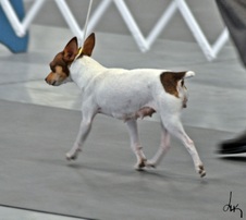 Enlarge photo 10