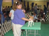 Enlarge photo 24