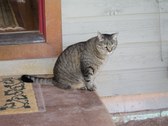 Enlarge photo 12