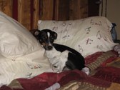 Enlarge photo 5