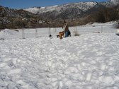 Enlarge photo 19