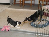 Enlarge photo 29