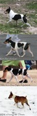 Enlarge photo 47