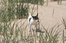 Enlarge photo 11
