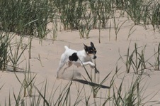 Enlarge photo 9