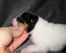 Enlarge photo 38