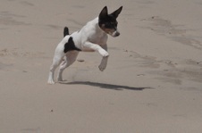 Enlarge photo 10
