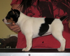 Enlarge photo 24