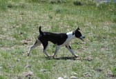 Enlarge photo 22