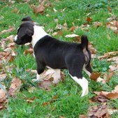 Enlarge photo 42
