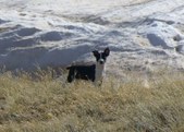 Enlarge photo 33