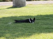 Enlarge photo 16