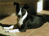 Enlarge photo 29