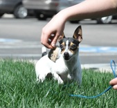 Enlarge photo 4