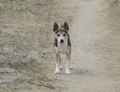 Enlarge photo 7