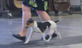 Enlarge photo 6