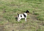 Enlarge photo 19