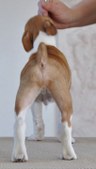 Enlarge photo 17