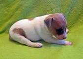 Enlarge photo 7