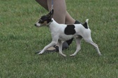 Enlarge photo 19