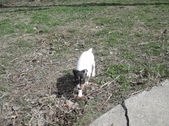 Enlarge photo 7