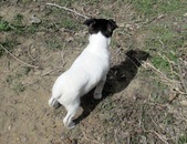 Enlarge photo 6