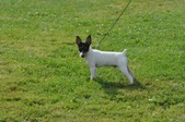 Enlarge photo 3