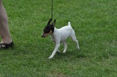 Enlarge photo 2
