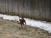 Enlarge photo 57