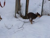 Enlarge photo 33