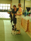 Enlarge photo 26