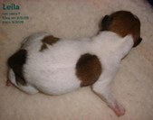 Enlarge photo 24