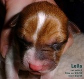 Enlarge photo 26