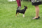 Enlarge photo 7
