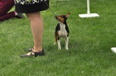 Enlarge photo 4