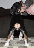Enlarge photo 12