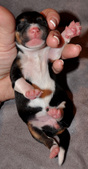 Enlarge photo 28