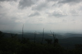 Enlarge photo 47