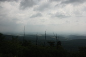 Enlarge photo 50