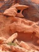 Enlarge photo 21